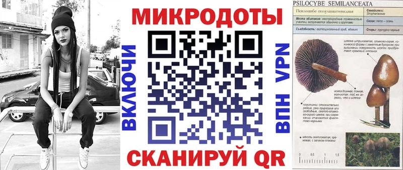 Галлюциногенные грибы прущие грибы  закладка  Алдан 